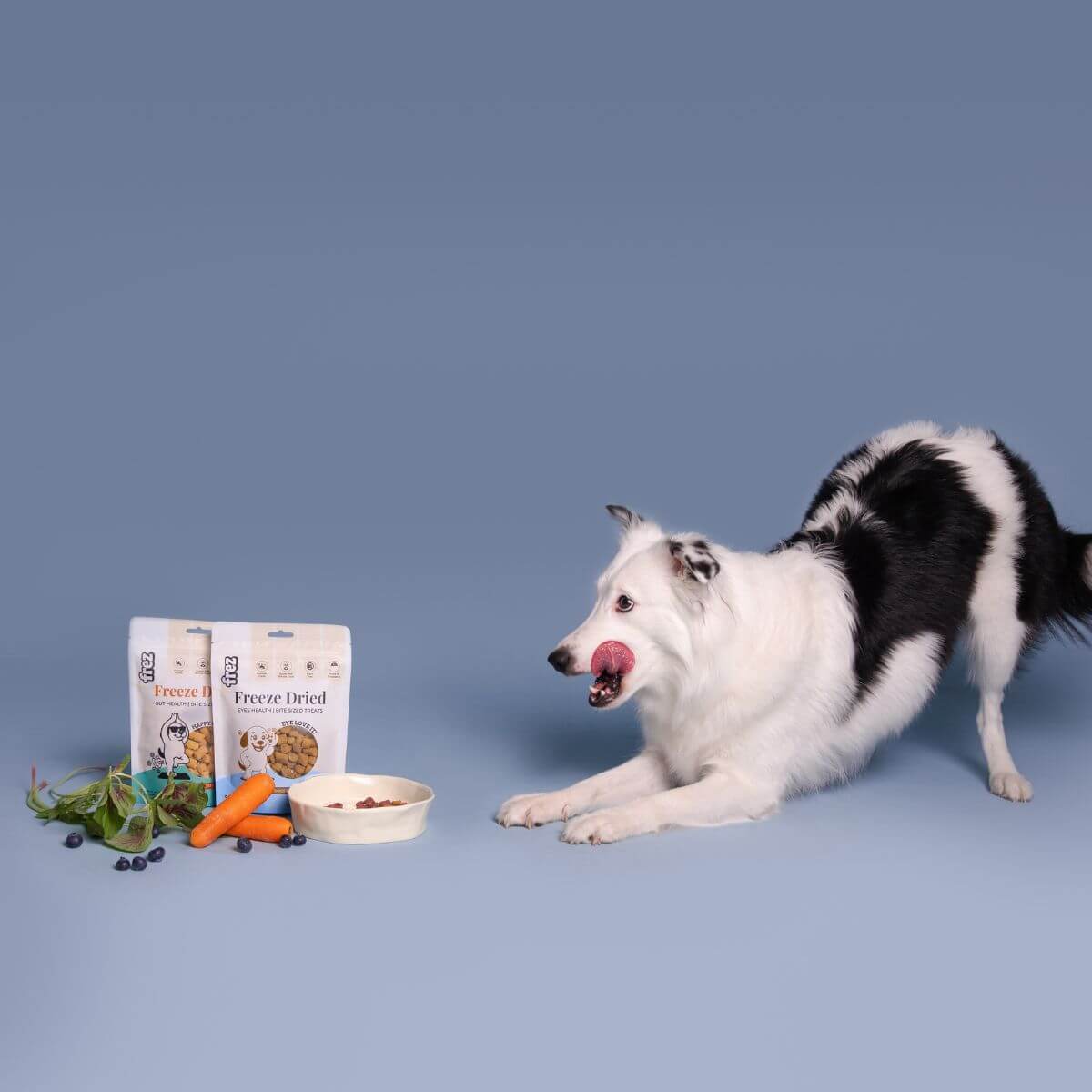 A dog play bowing at the packet of Frez Guts Health Freeze Dried Duck with Pumpkin & Carrot Treats.