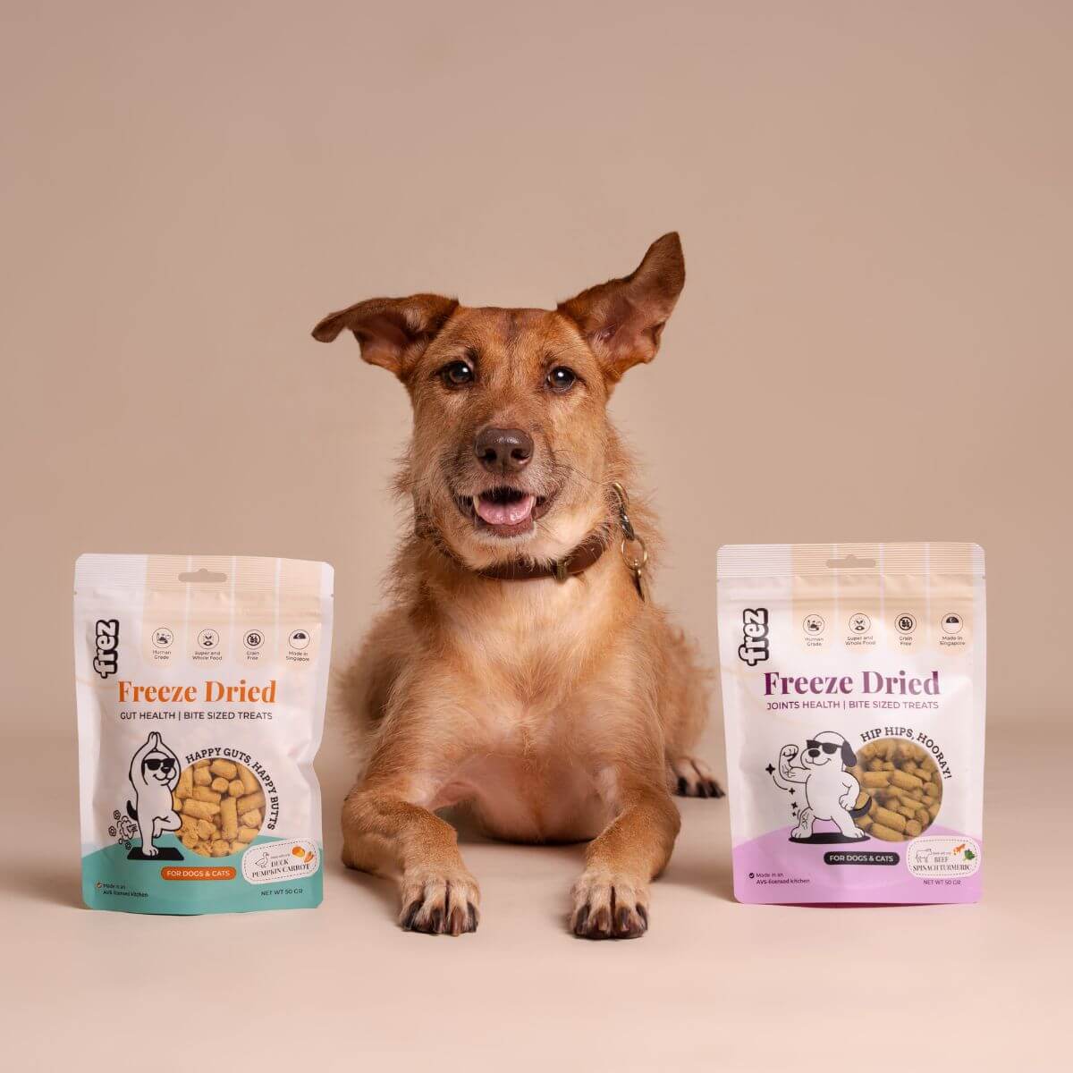 A dog flanked between 2 packets of Frez treats.