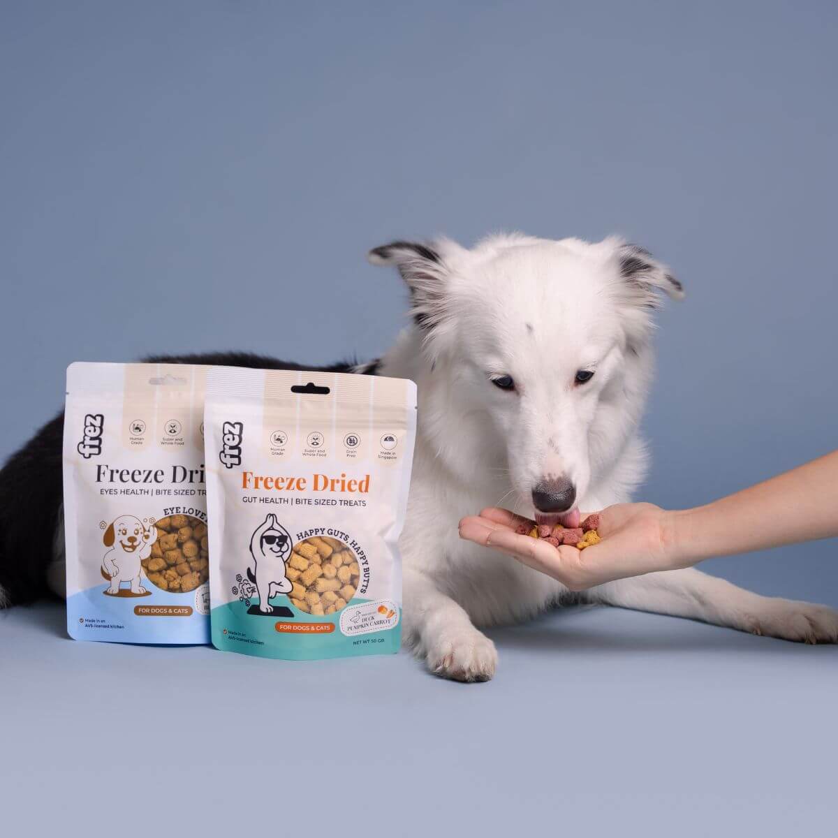 A dog eating the Frez treats off a palm.