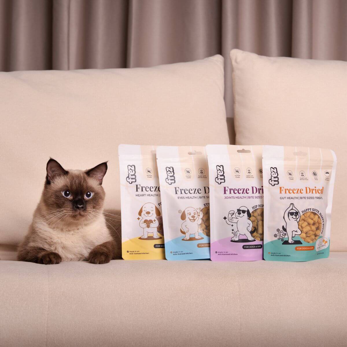 A cat beside 4 packets of Frez treats.