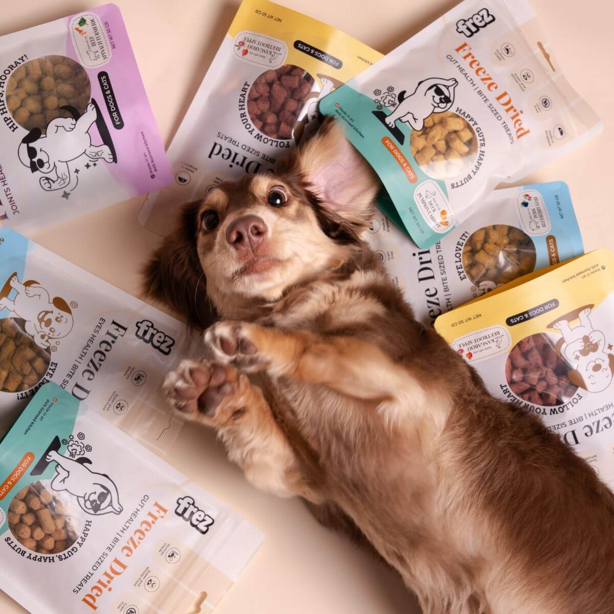 A dachshund lying on its back surrounded by Frez treat packets.