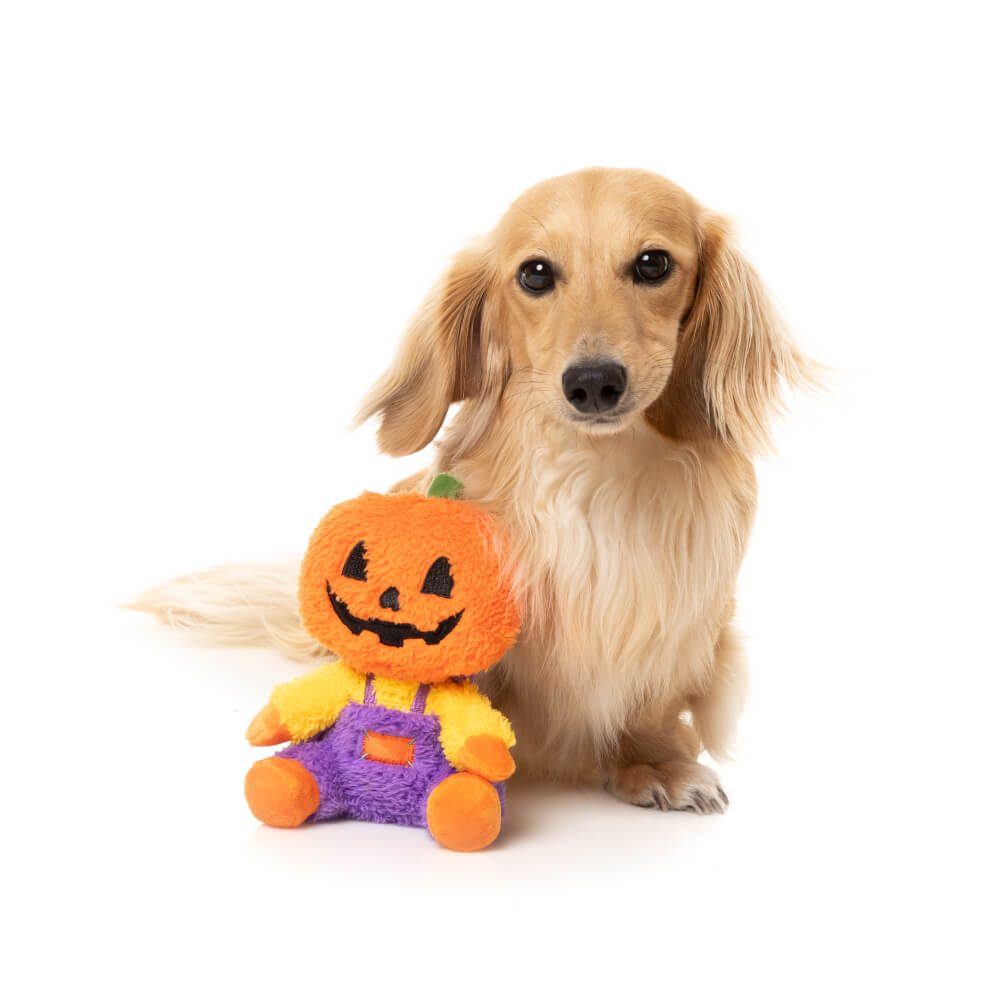 FuzzYard Halloween Plush Dog Toy | Jack-O Chan