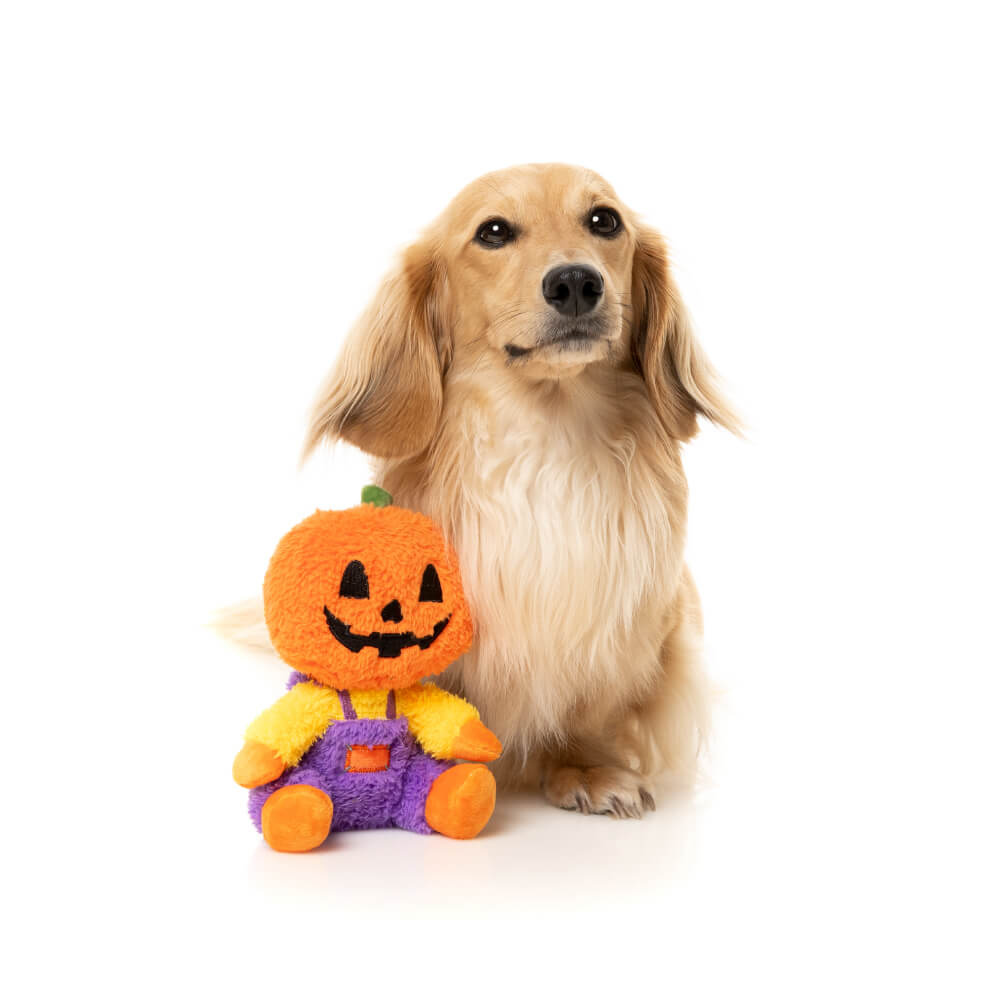 FuzzYard Halloween Plush Dog Toy | Jack-O Chan
