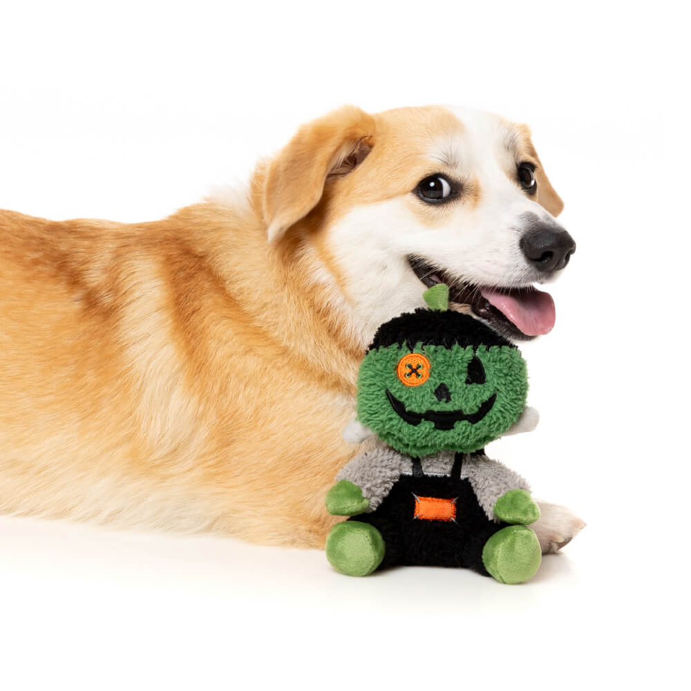 FuzzYard Halloween Plush Dog Toy | Jack-O Chan Frankenstein