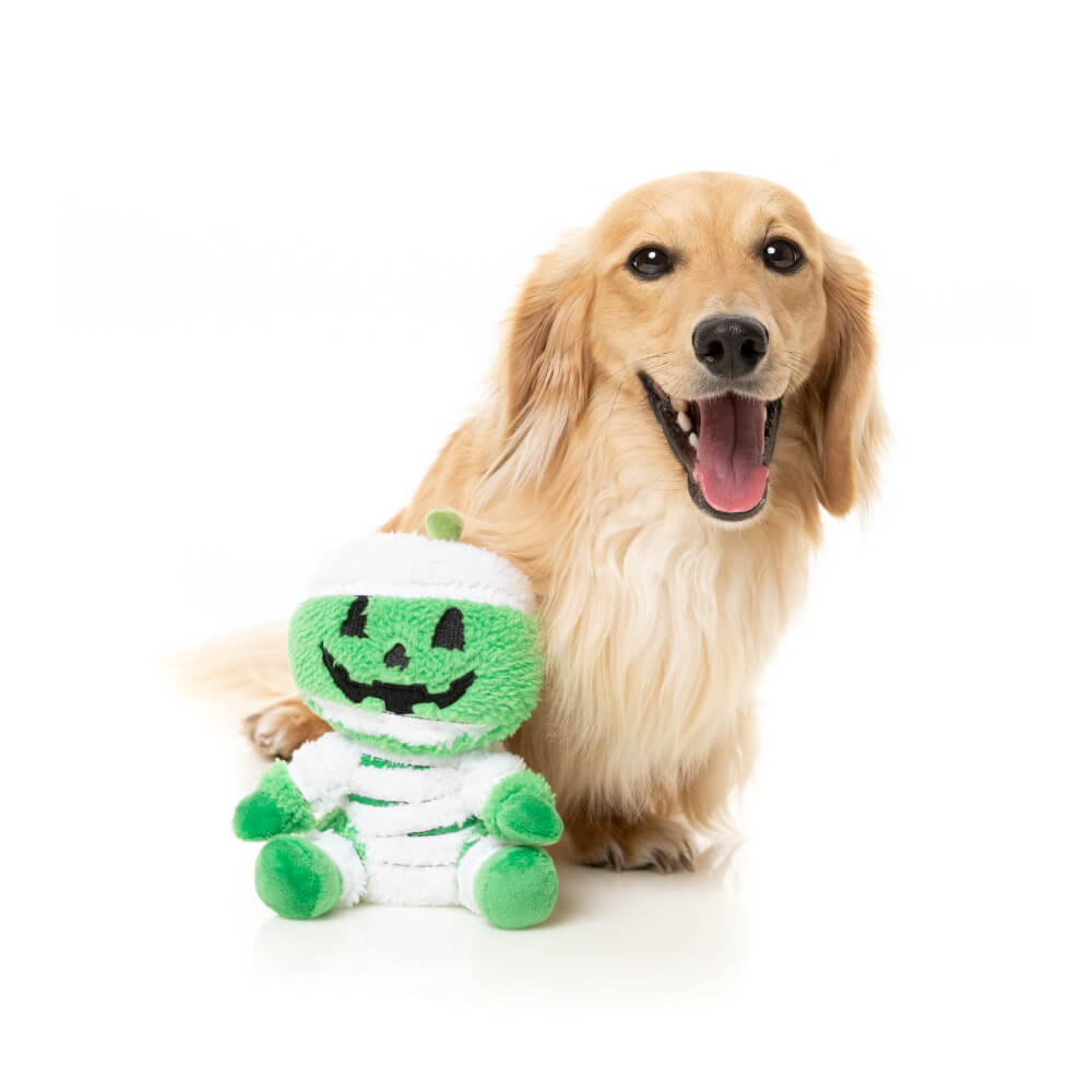 FuzzYard Halloween Plush Dog Toy | Jack-O Chan Mummy