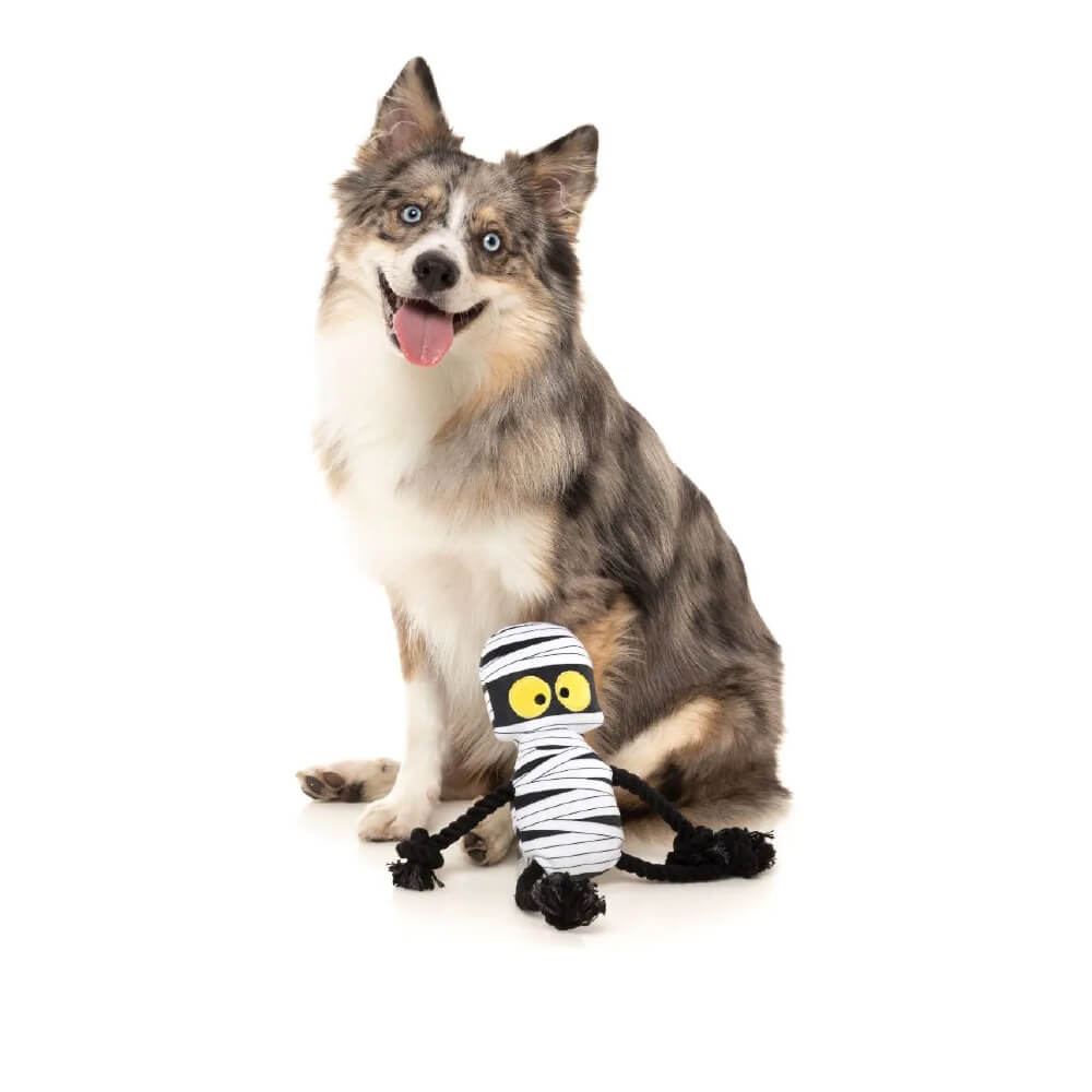 FuzzYard Halloween Plush Dog Toy | Ryan Gauze-Ling Rope