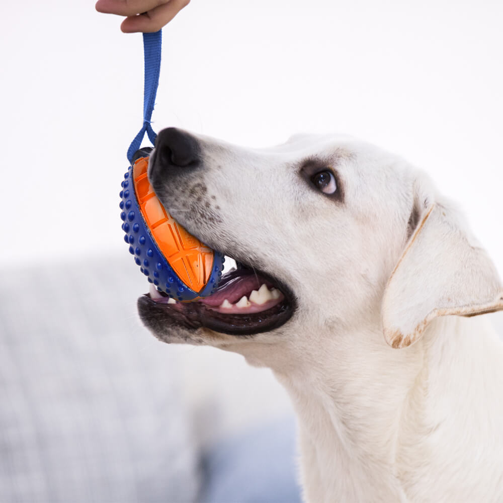 GiGwi Push To Mute Dog Toy | Rugby Ball