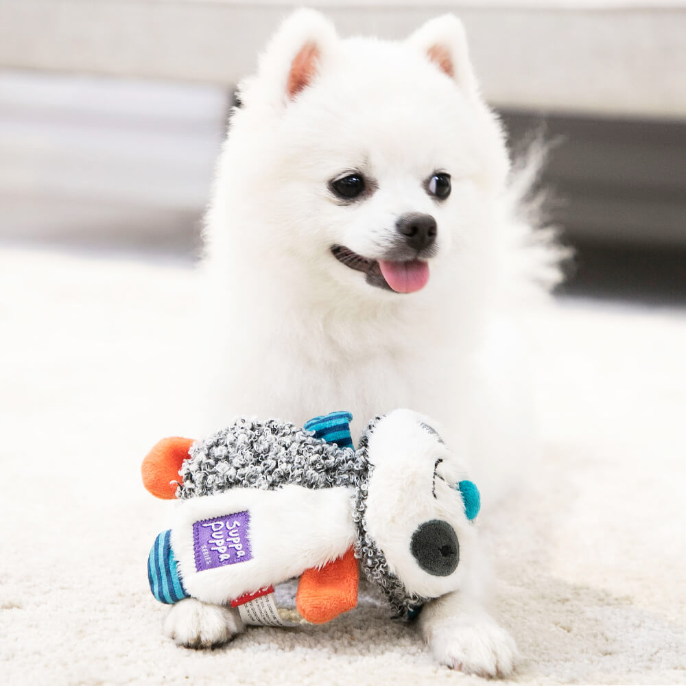 GiGwi Suppa Puppa Plush Toy for Puppies | Raccoon