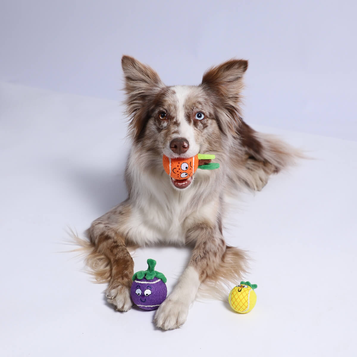 GiGwi Tennis Ball Originals Orange