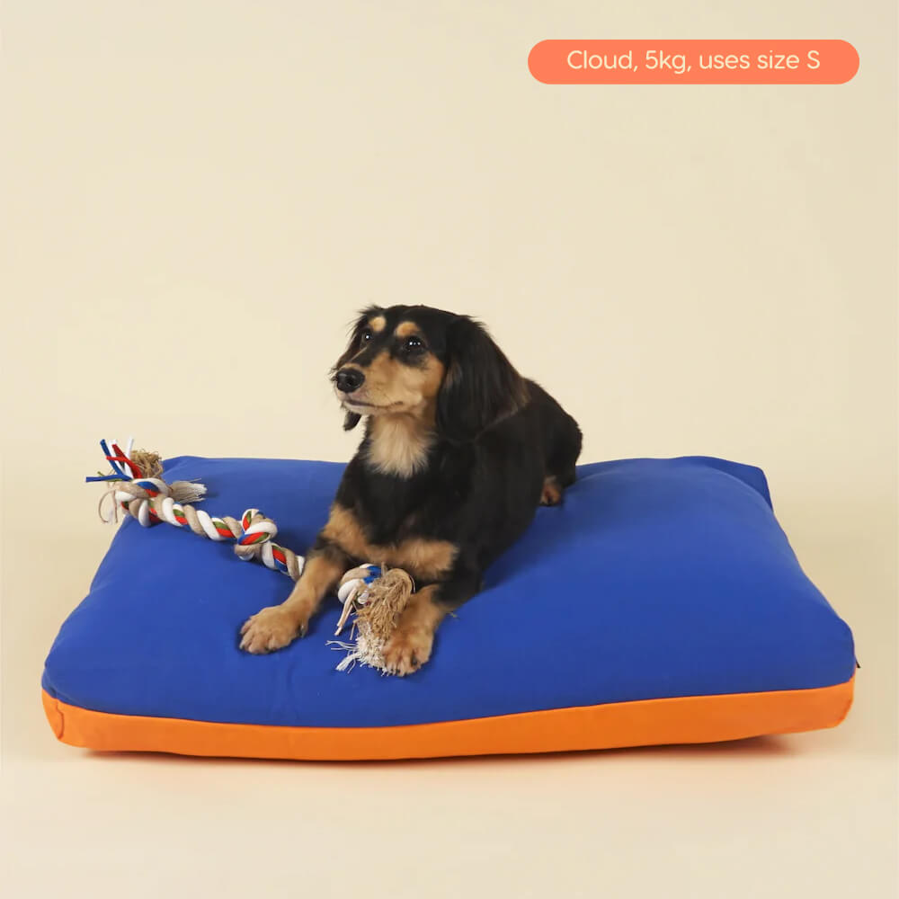 Good Chonk Cloud Kapok Bed