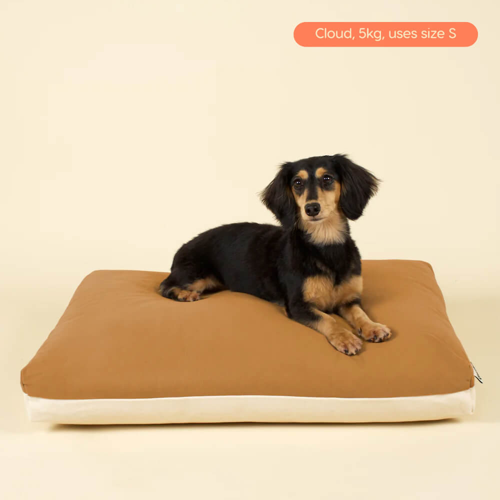 Good Chonk Cloud Kapok Bed