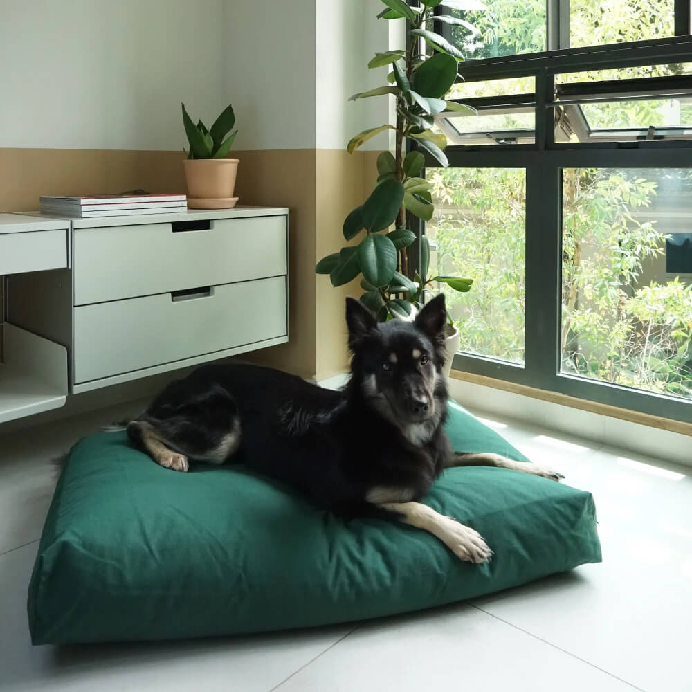Good Chonk Cloud Kapok Bed