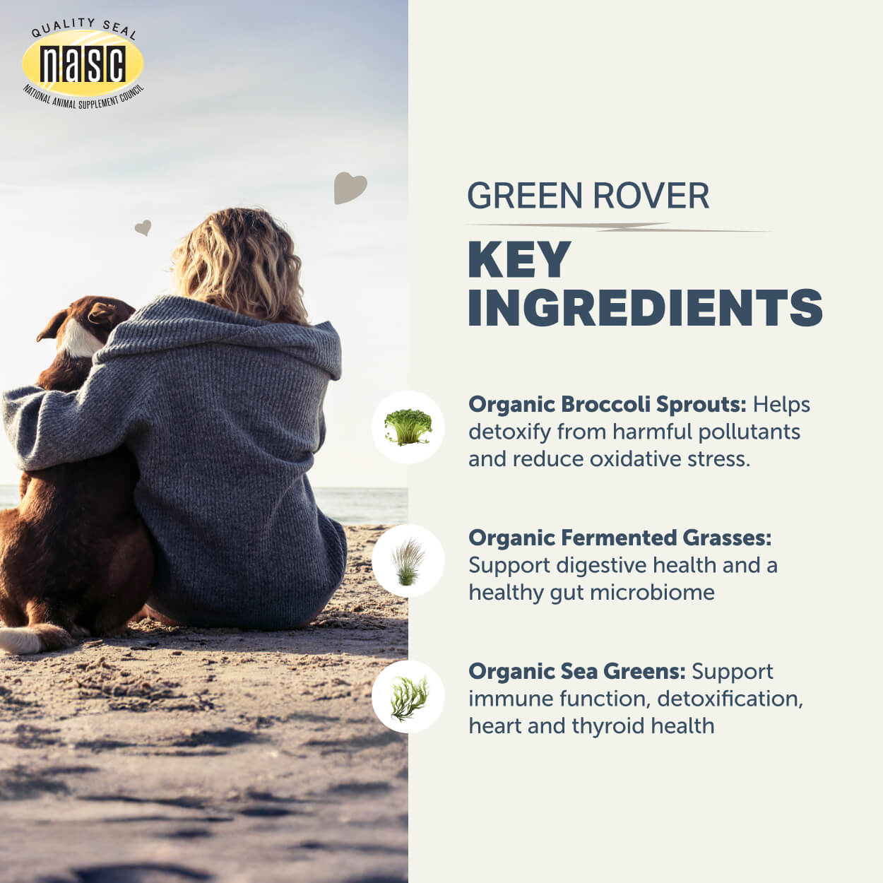 Four Leaf Rover Green Rover | Bioactive Sprout Blend