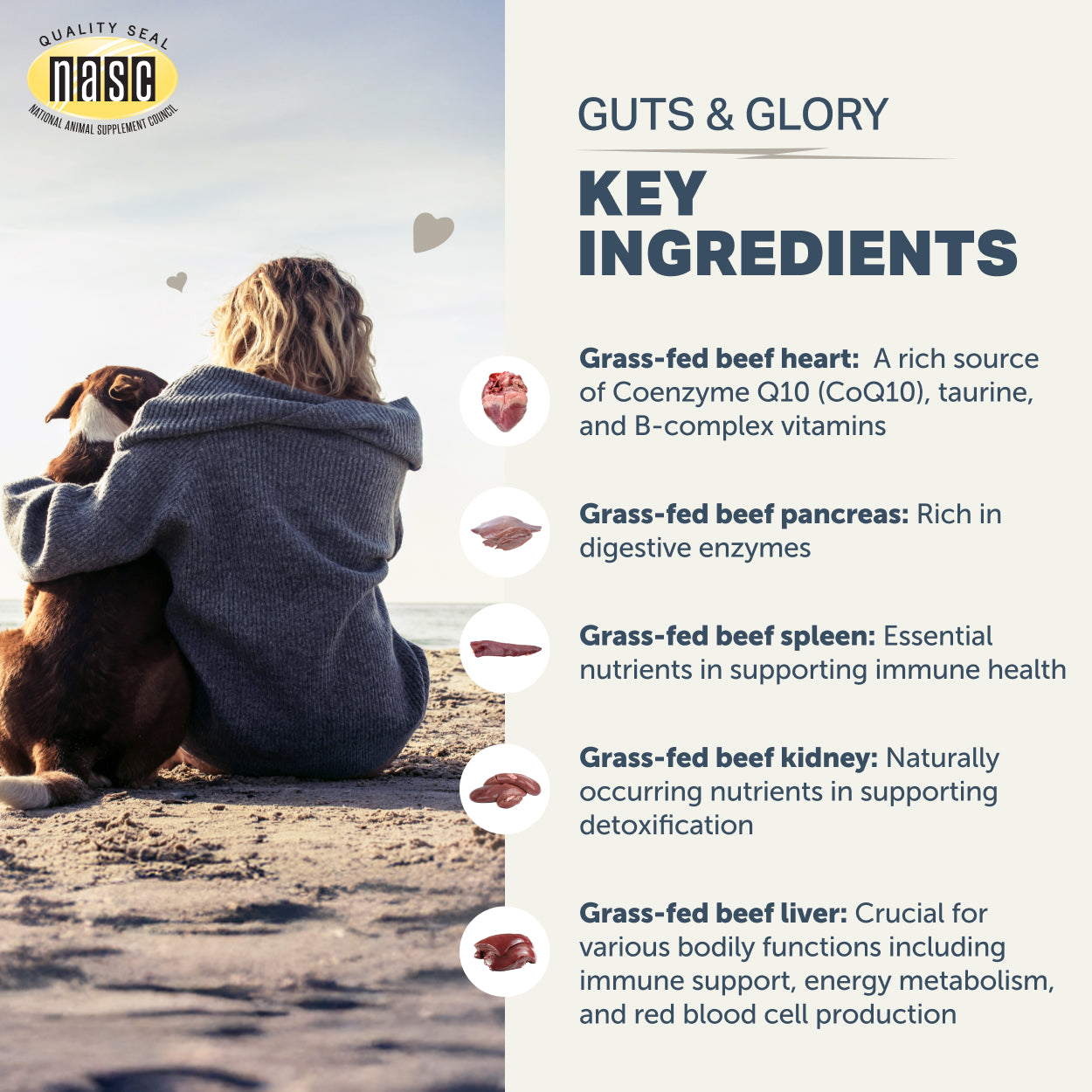 Four Leaf Rover Guts & Glory | Grass-fed Organs for Dogs