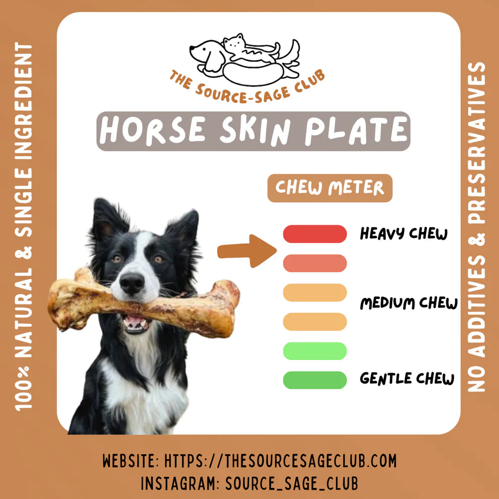 The Source-Sage Club Air Dried Horse Skin Plate