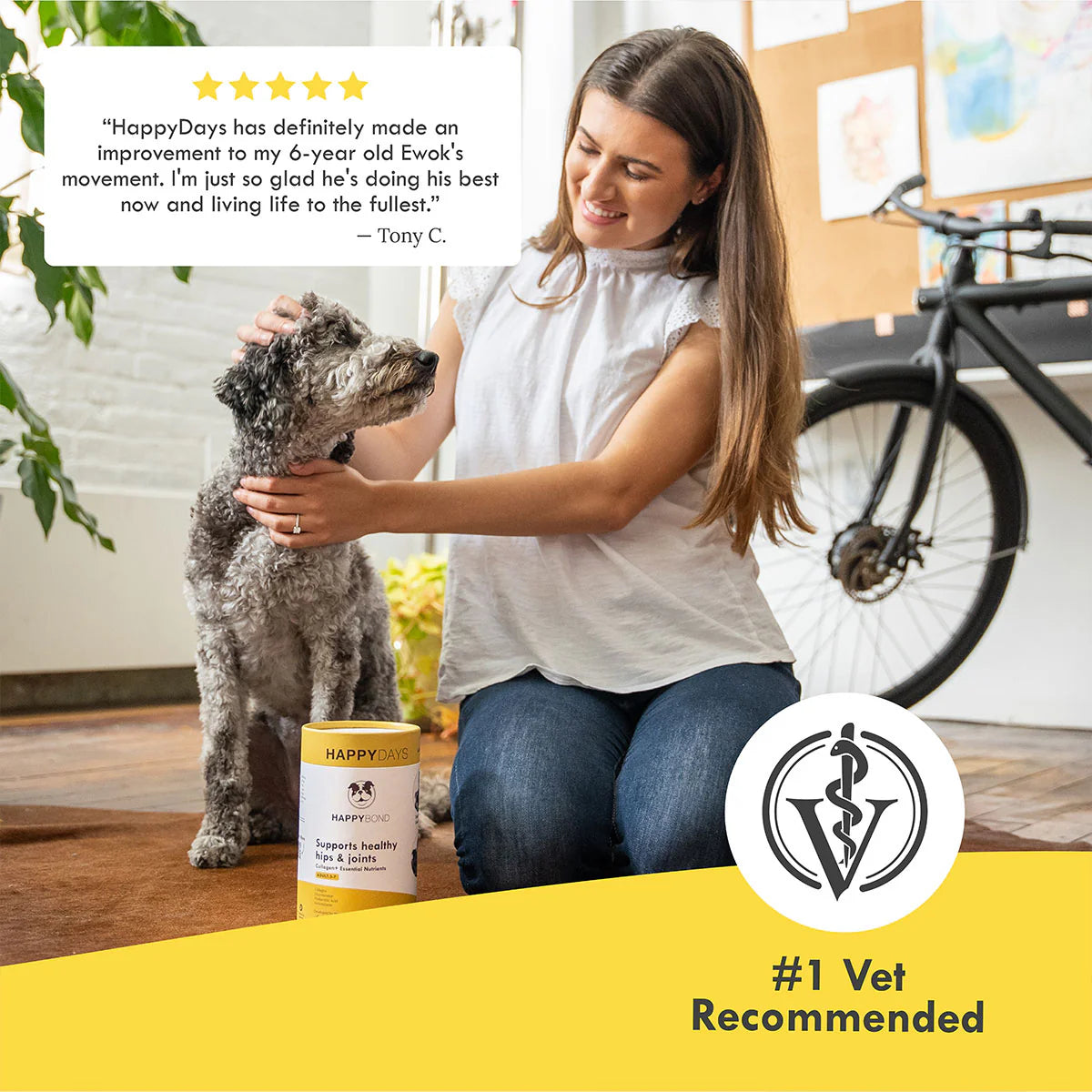 Happy Days Collagen Joint Supplement for Adult Dogs