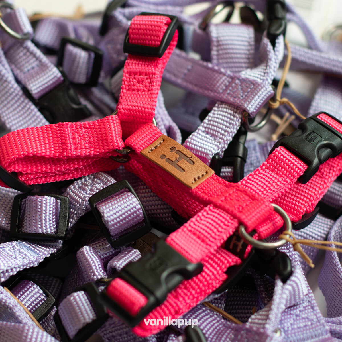 Haqihana Bubblegum Harness