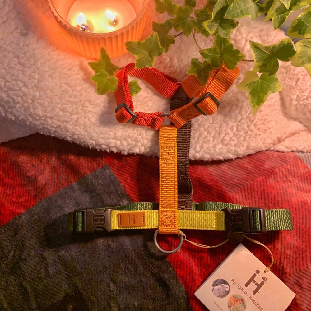 Haqihana Limited Edition Fall Harness