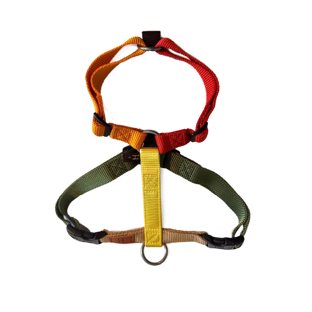 Haqihana Limited Edition Seasons Harness