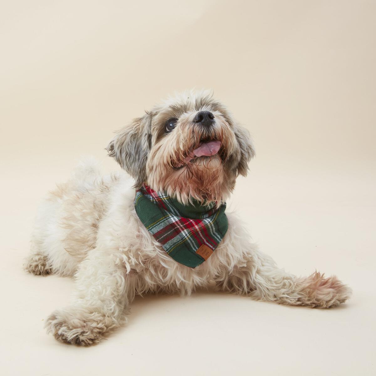 The Foggy Dog Holly Jolly Flannel Bandana