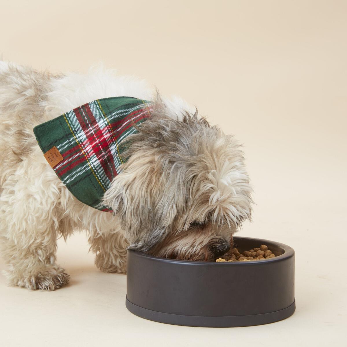 The Foggy Dog Holly Jolly Flannel Bandana
