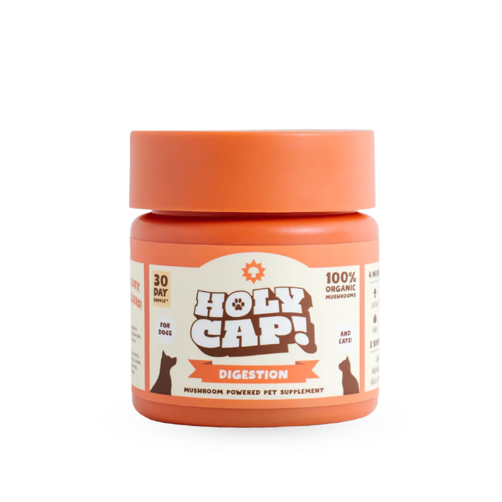 HOLY CAP Mushroom Supplement | Digestion