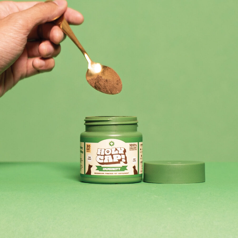 HOLY CAP Mushroom Supplement | Immunity
