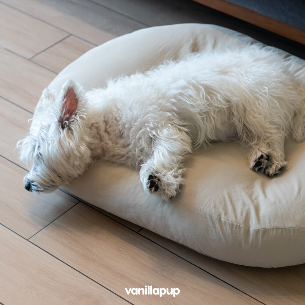 HOWLPOT Cooling Cushion Bed