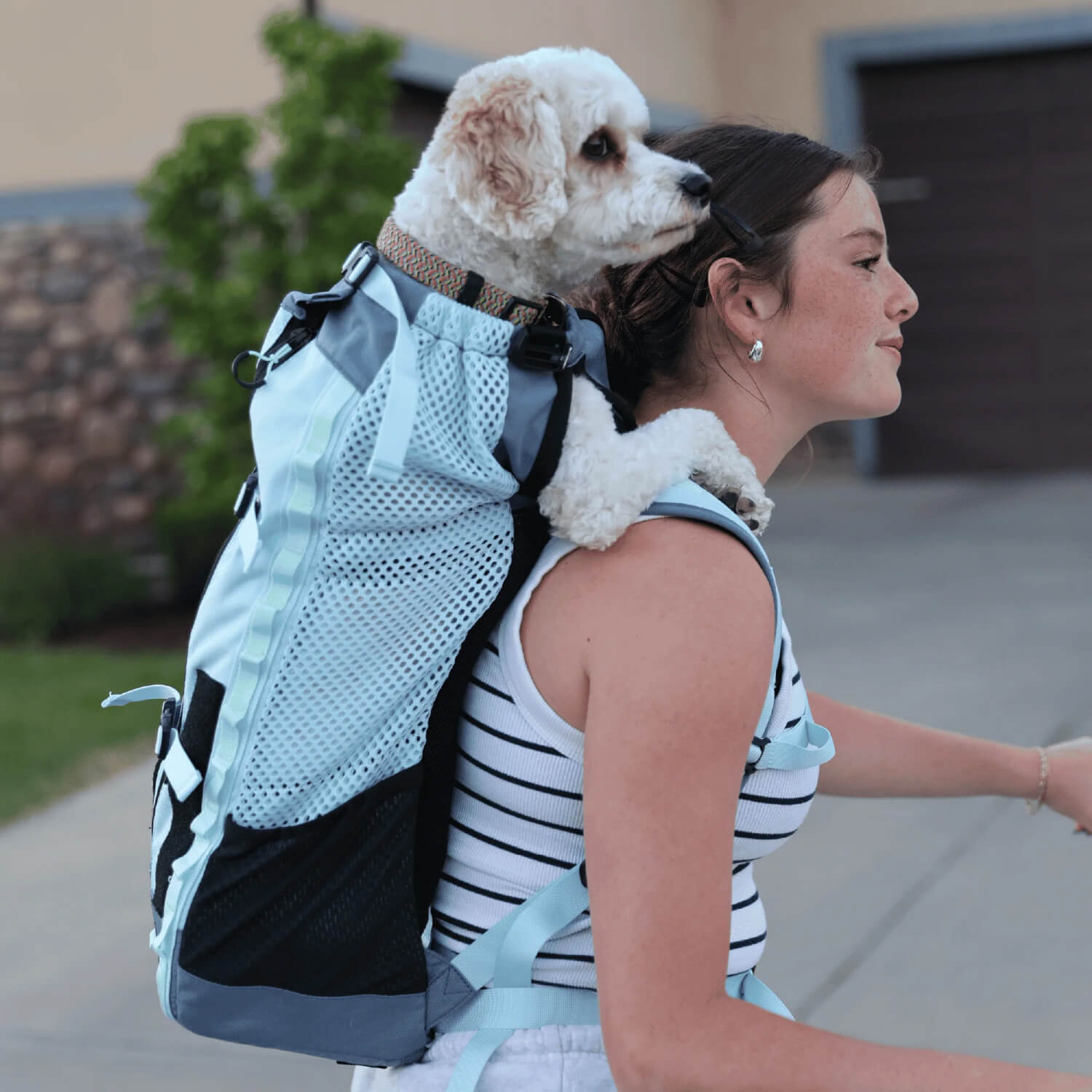 K9 Sport Sack Kompanion Backpack