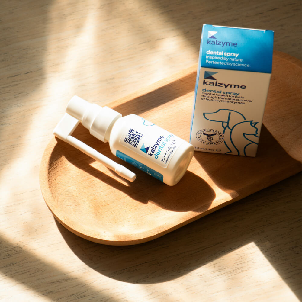Kalzyme™ Dental Spray