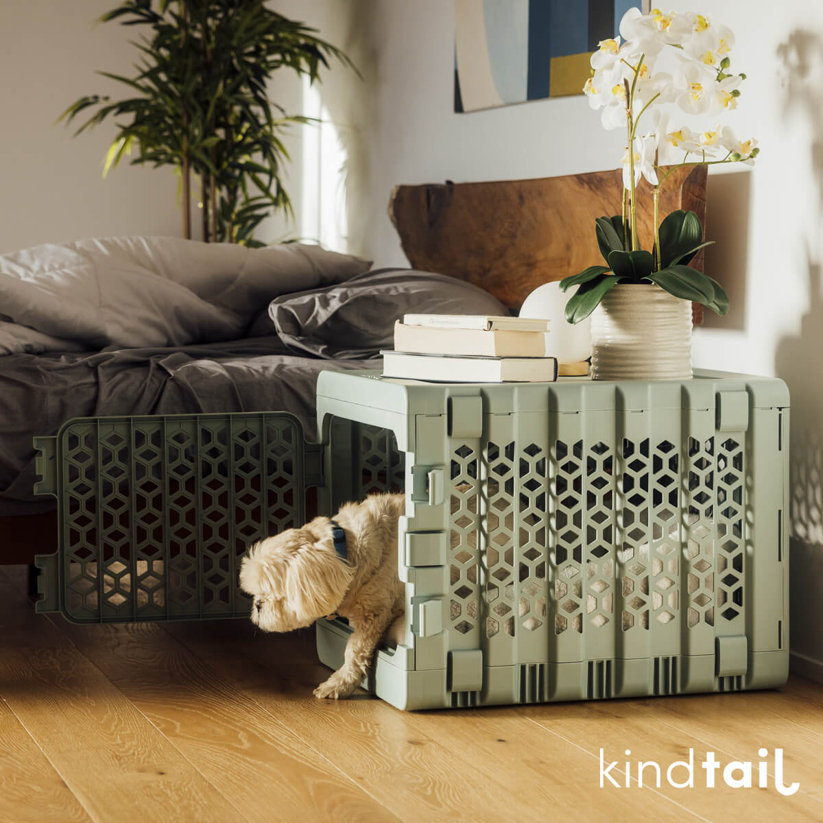 PAWD® Collapsible Plastic Pet Crate