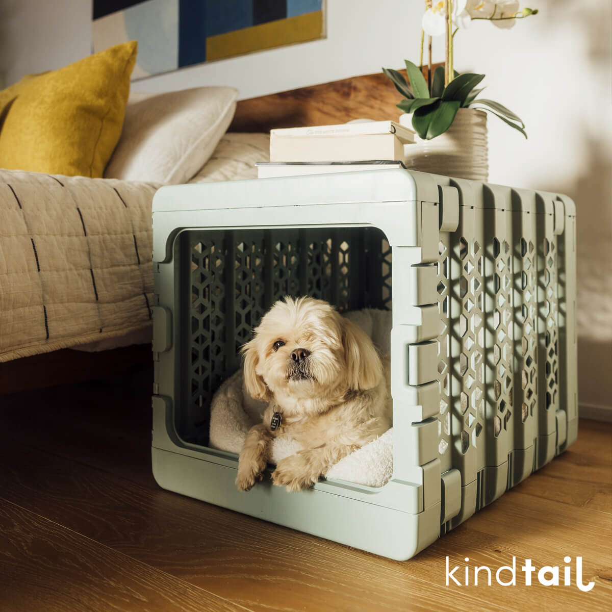 PAWD® Collapsible Plastic Pet Crate