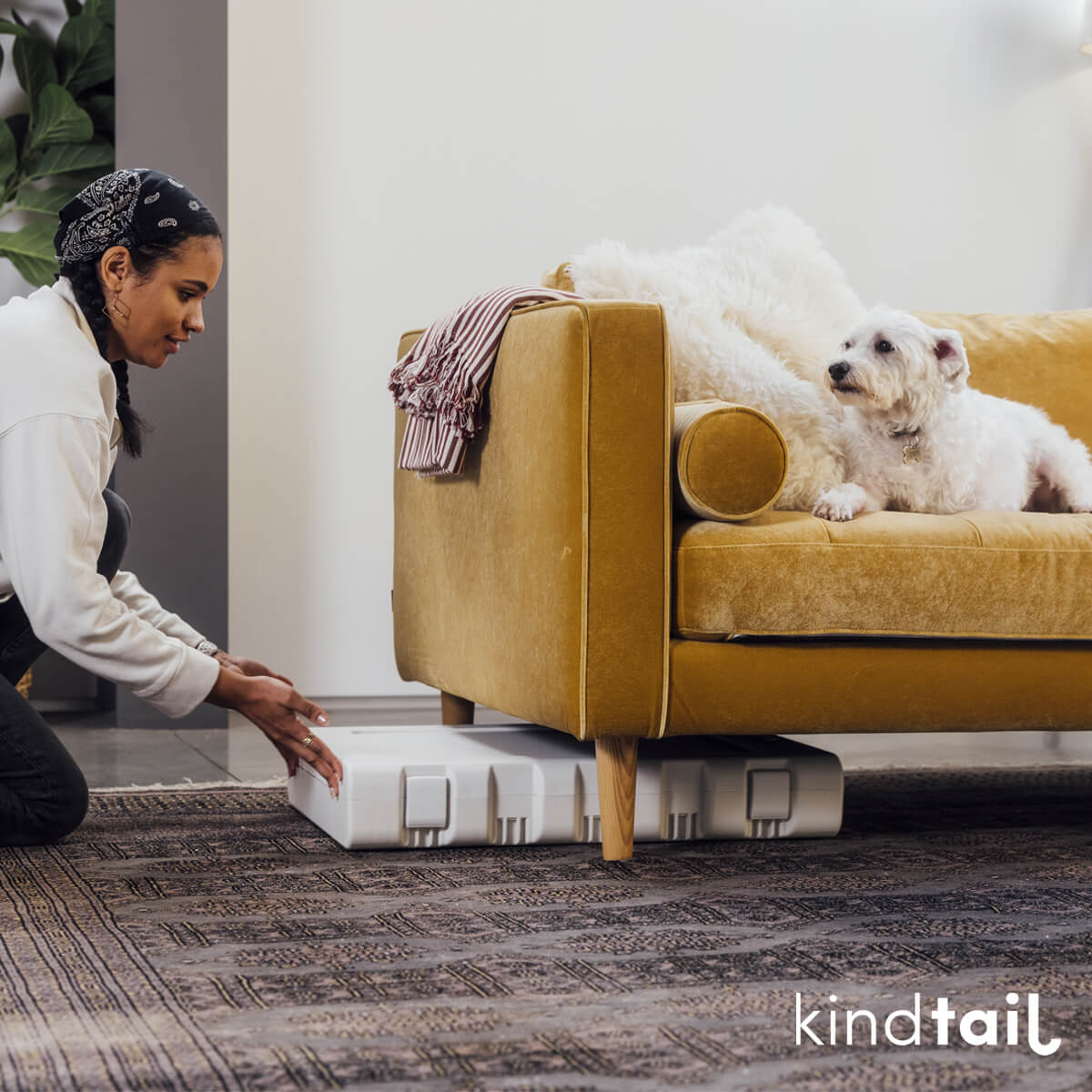 PAWD® Collapsible Plastic Pet Crate