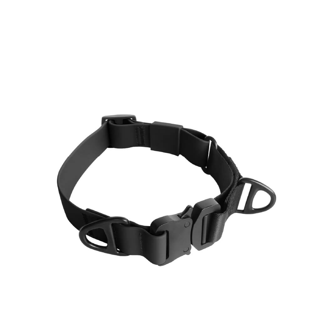 Lambwolf AVA Martingale Quick-Release Collar