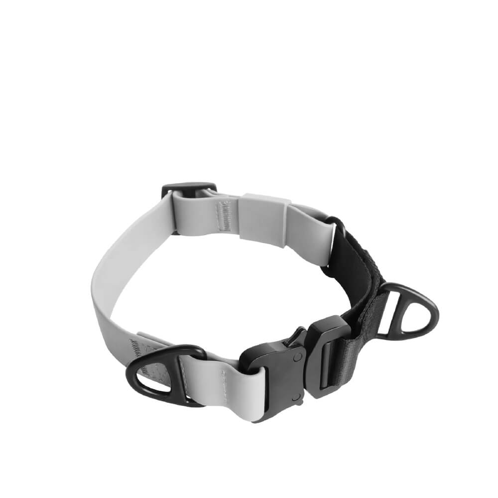 Lambwolf AVA Martingale Quick-Release Collar