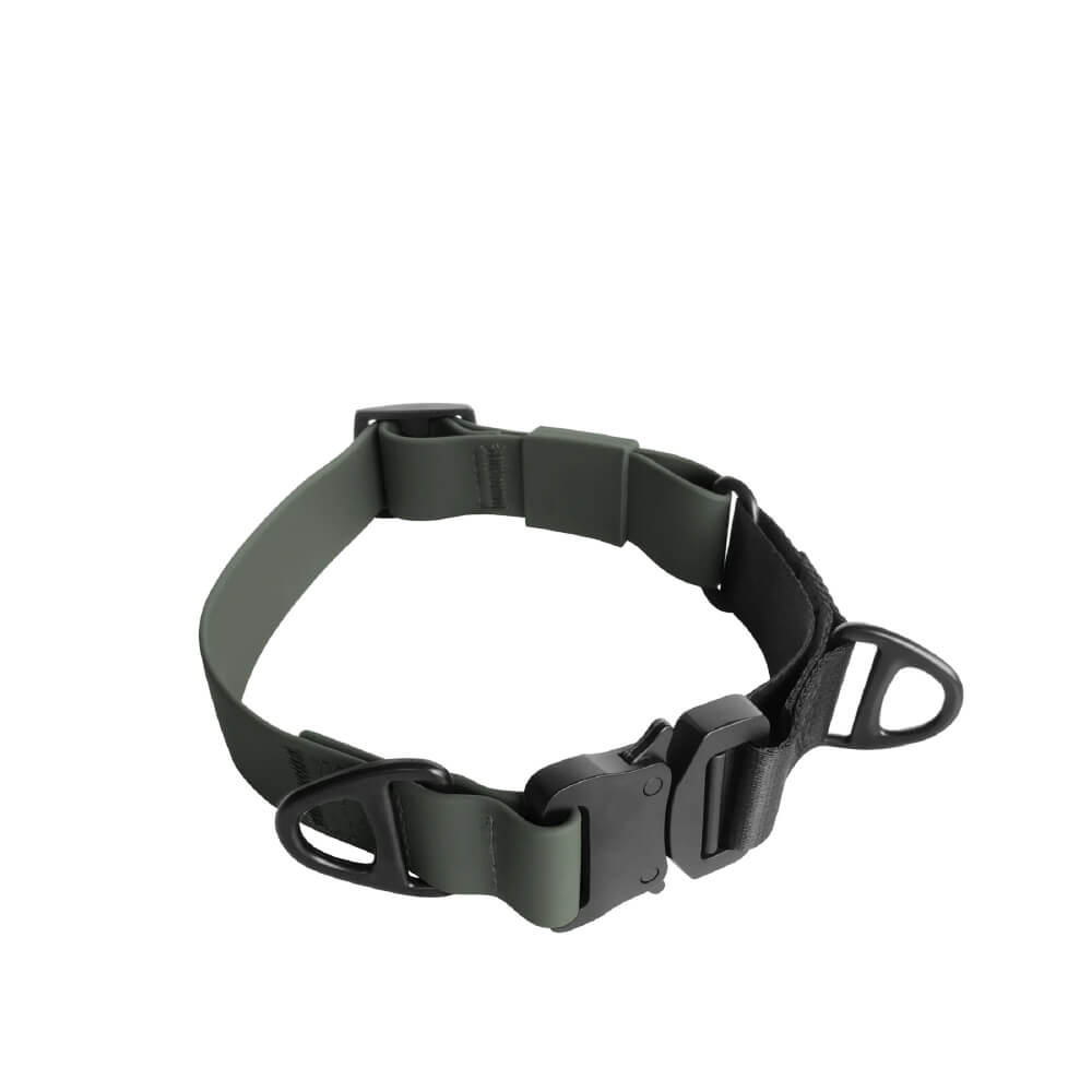 Lambwolf AVA Martingale Quick-Release Collar