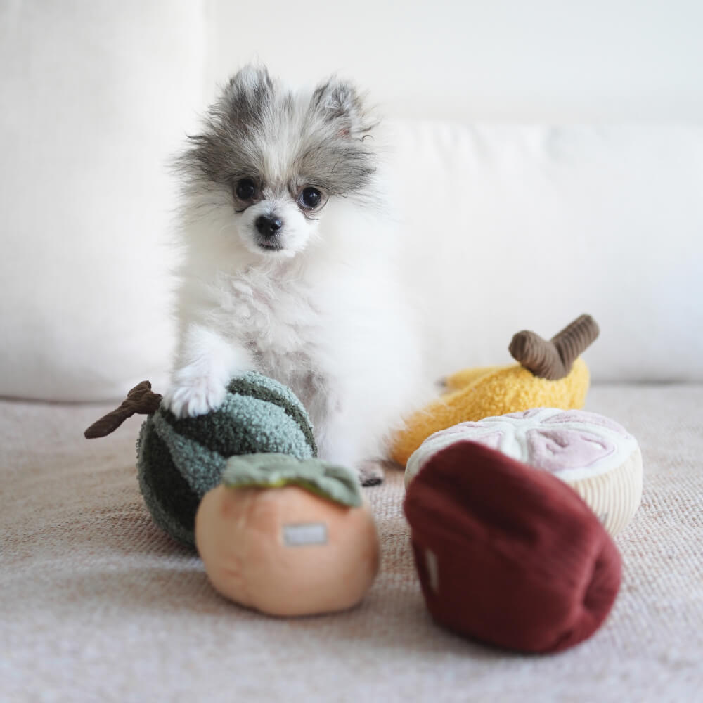 Lambwolf Persimmon Nosework Toy