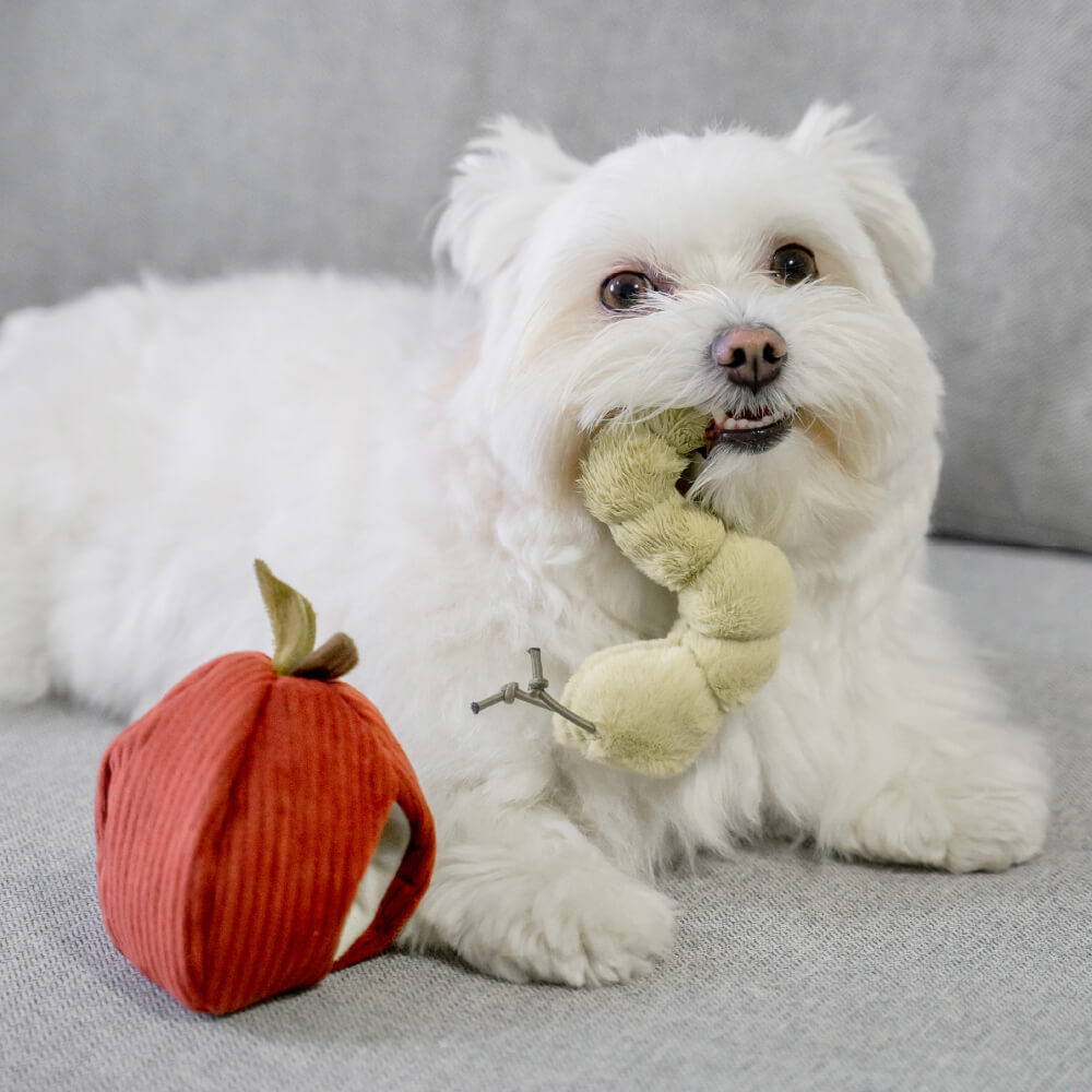 Lambwolf Apple Crinkly Toy