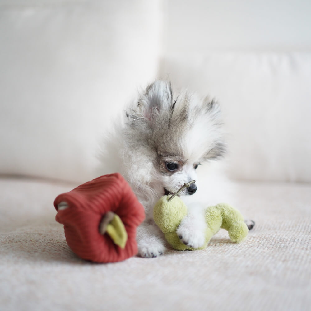 Lambwolf Apple Crinkly Toy