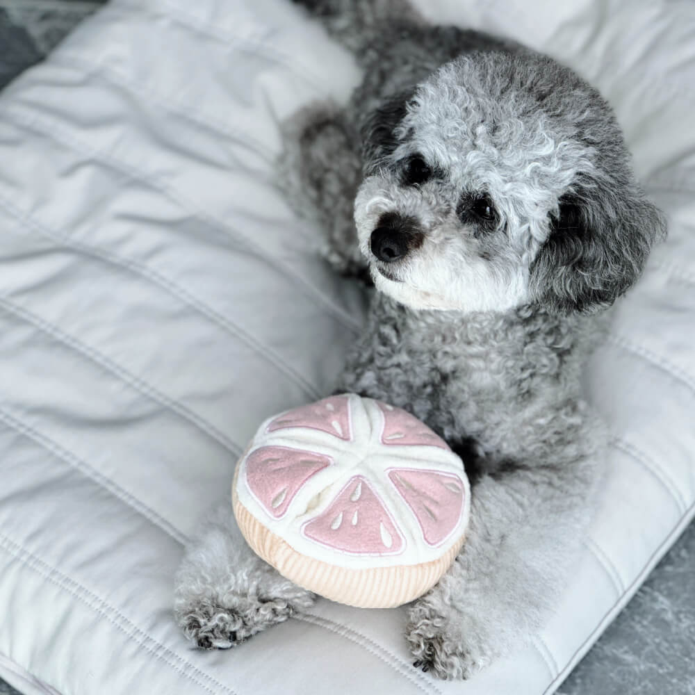 Lambwolf Grapefruit Nosework Toy