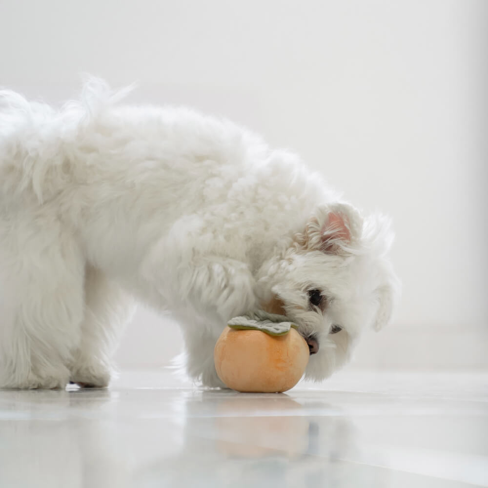 Lambwolf Persimmon Nosework Toy