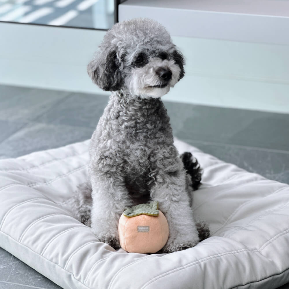 Lambwolf Persimmon Nosework Toy