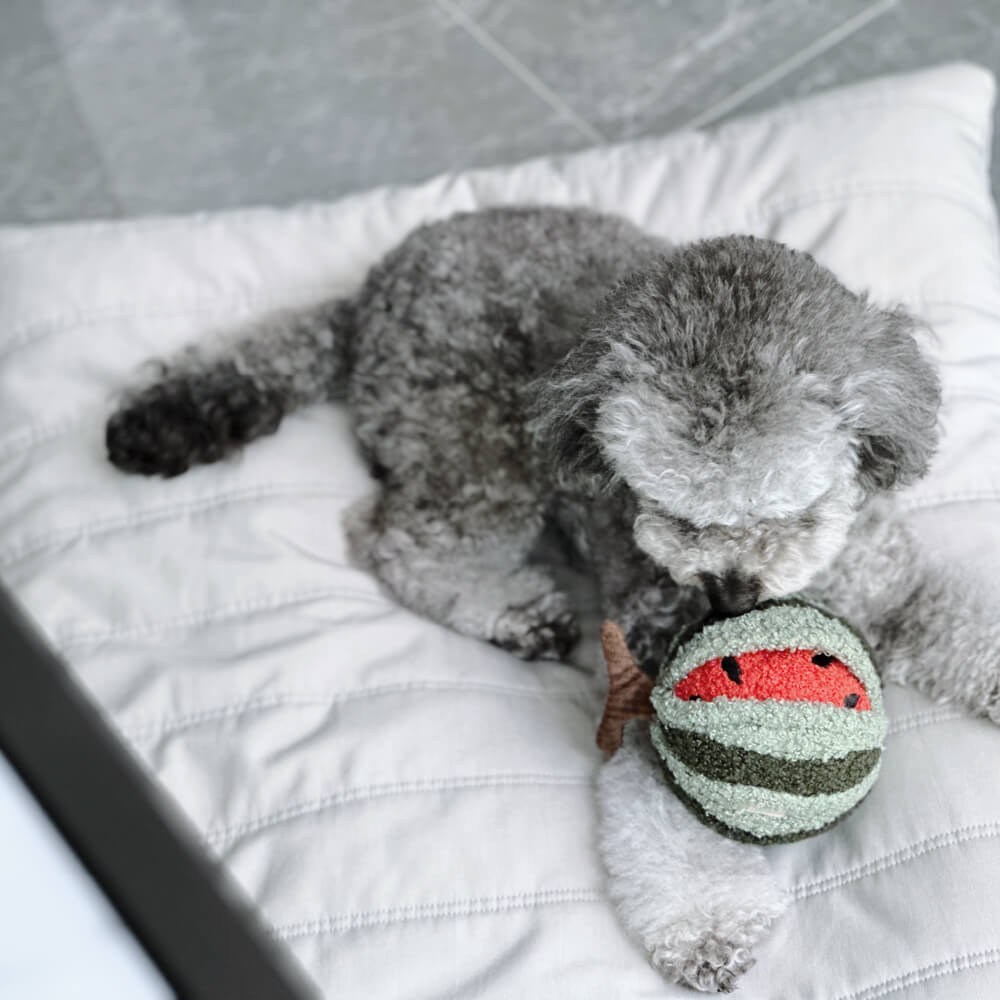 Lambwolf Watermelon POP Toy