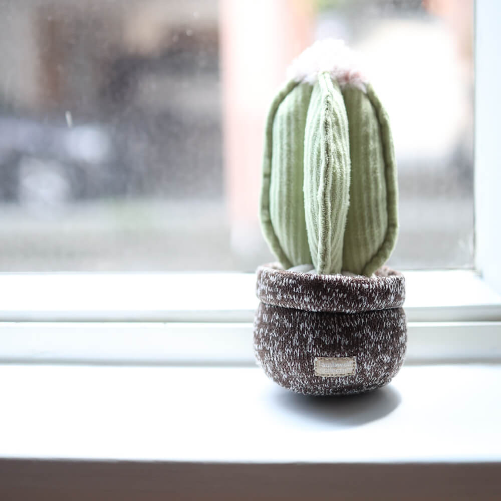 Lambwolf Cactus Squeaky Toy