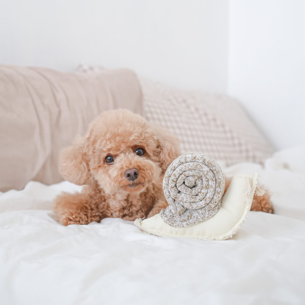Lambwolf Snail Snuffle Toy