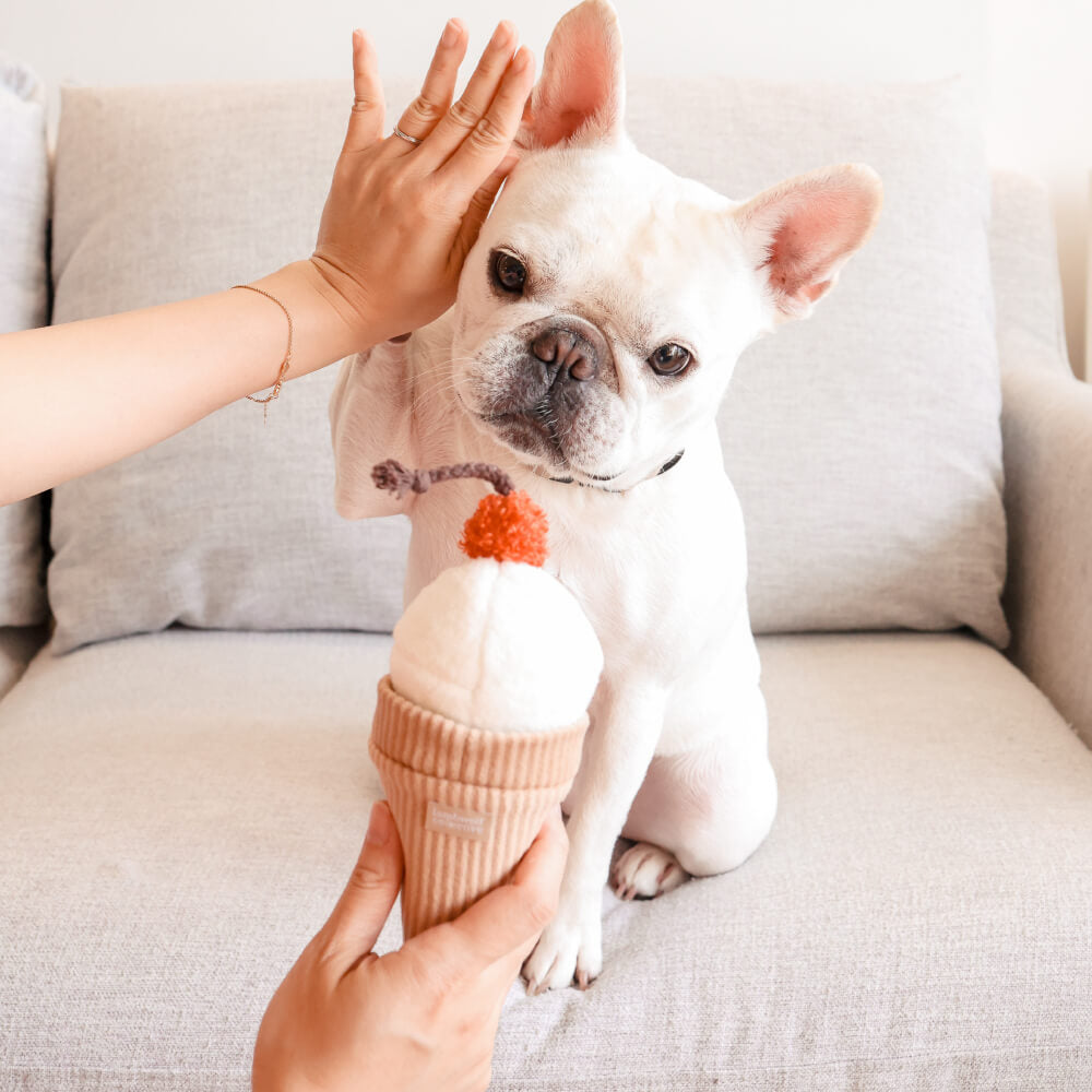 Lambwolf Ice Cream Pop Toy