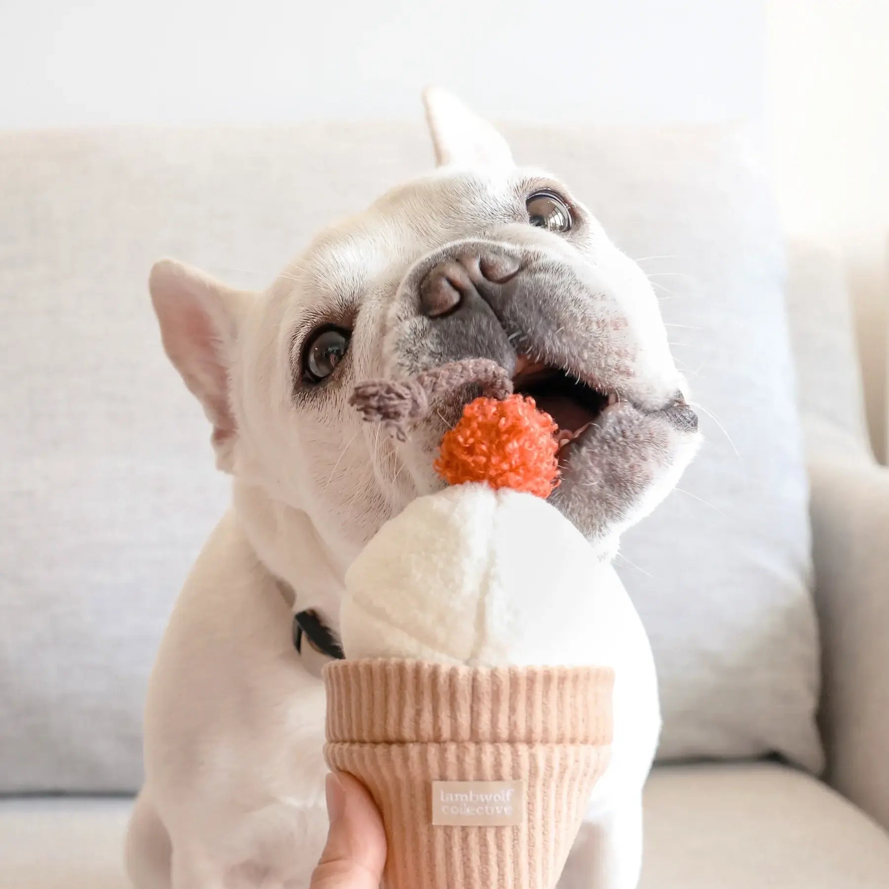 Lambwolf Ice Cream Pop Toy
