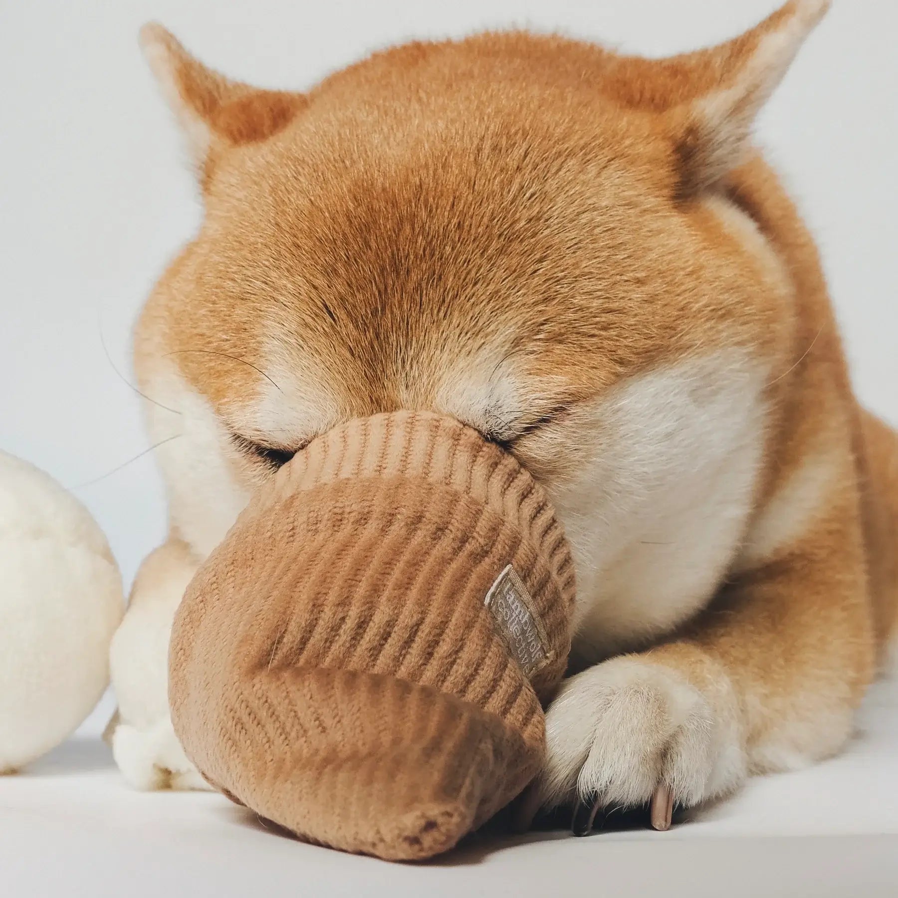 Lambwolf Ice Cream Pop Toy