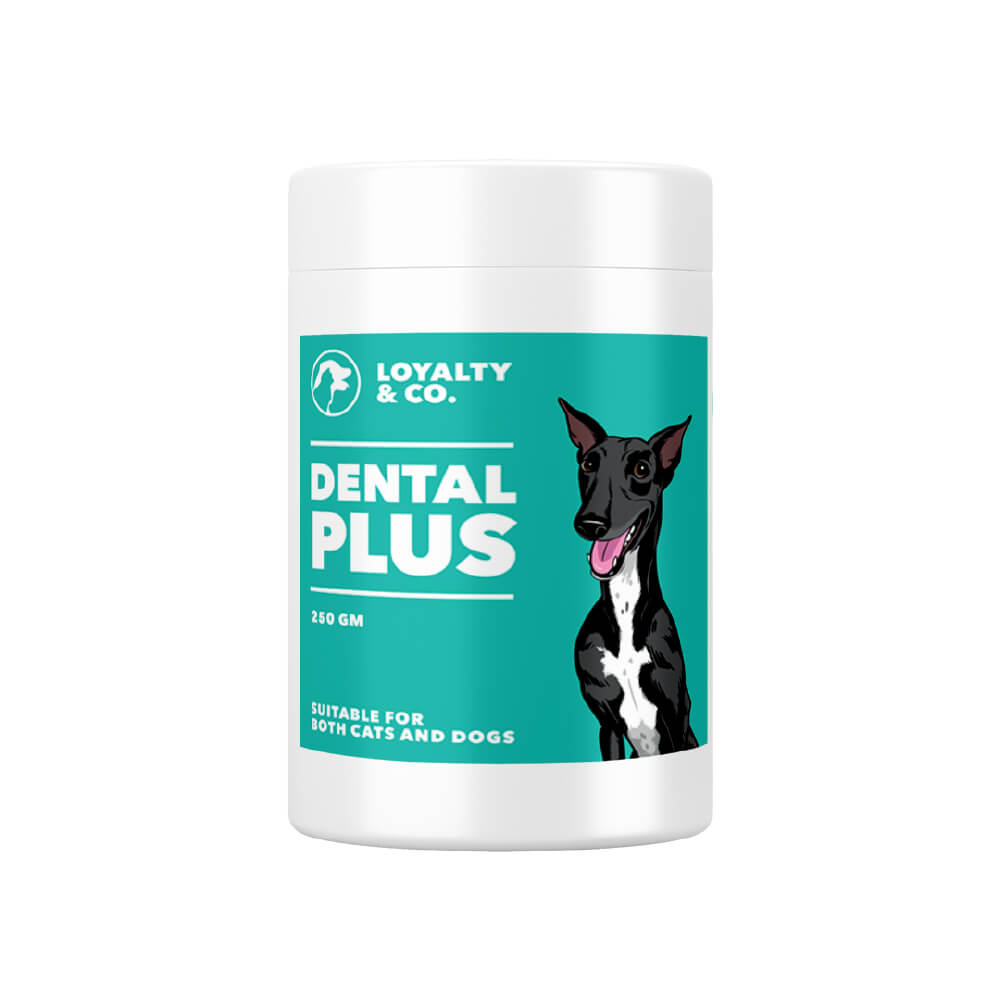 Loyalty & Co. Dental Plus | Organic Dental Supplement