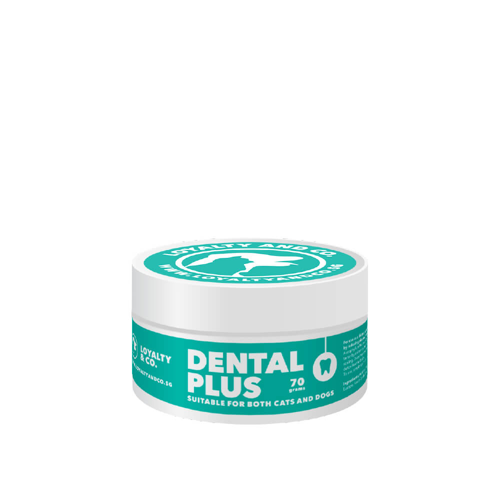Loyalty & Co. Dental Plus | Organic Dental Supplement